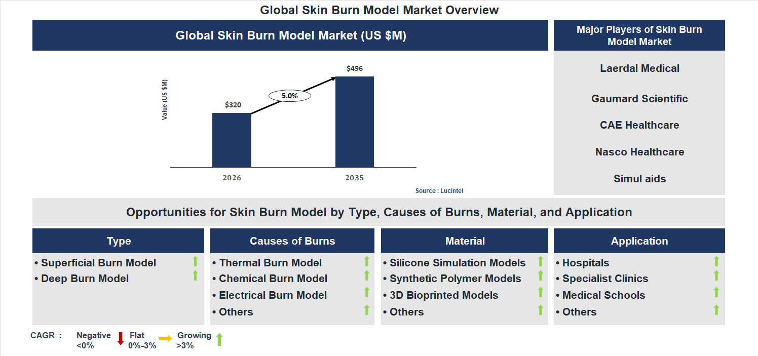 Skin Burn Model Market Trends and Forecast